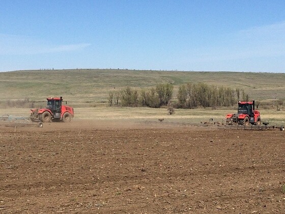 В Волгоградской области разными культурами намерены засеять более 1,5 млн гектаров земли