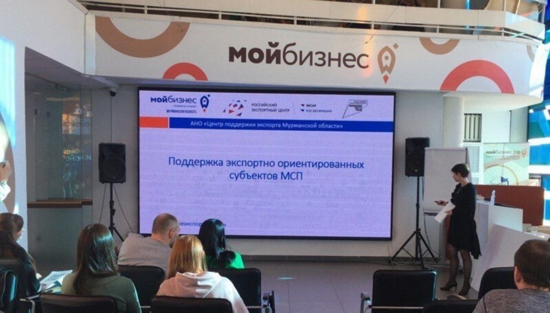 Предпринимателям Мурманской области напомнили о действующих мерах поддержки в регионе