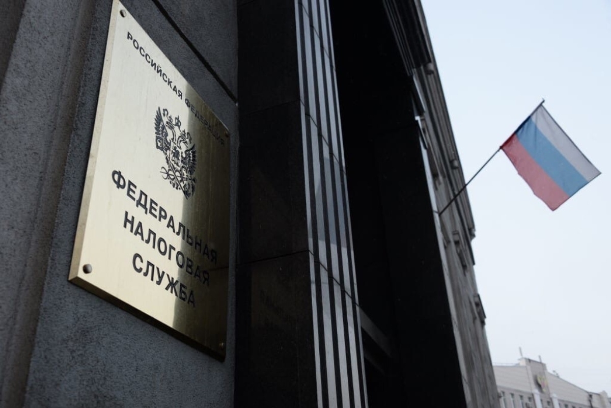 В России за год было зарегистрировано 386 тысяч ИП