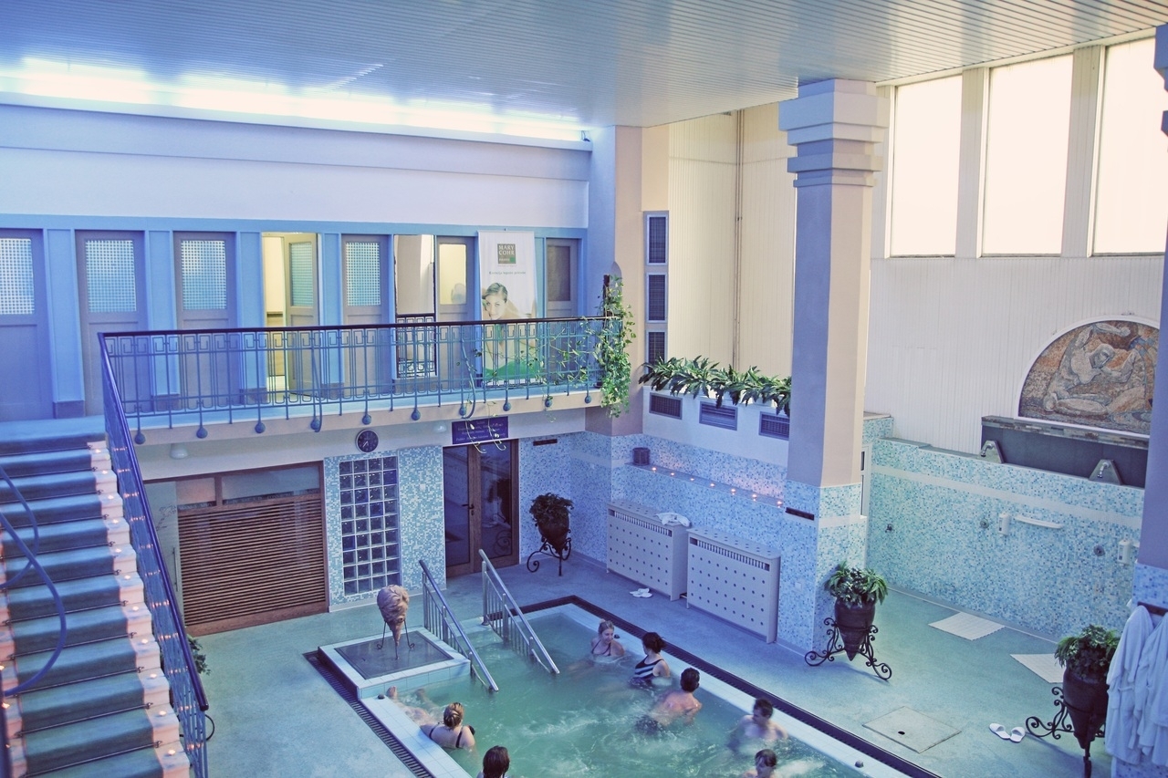 В Сестрорецке построят общественное пространство со SPA-комплексом