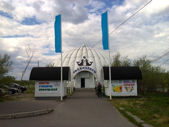У океанариума в Мурманске новый учредитель