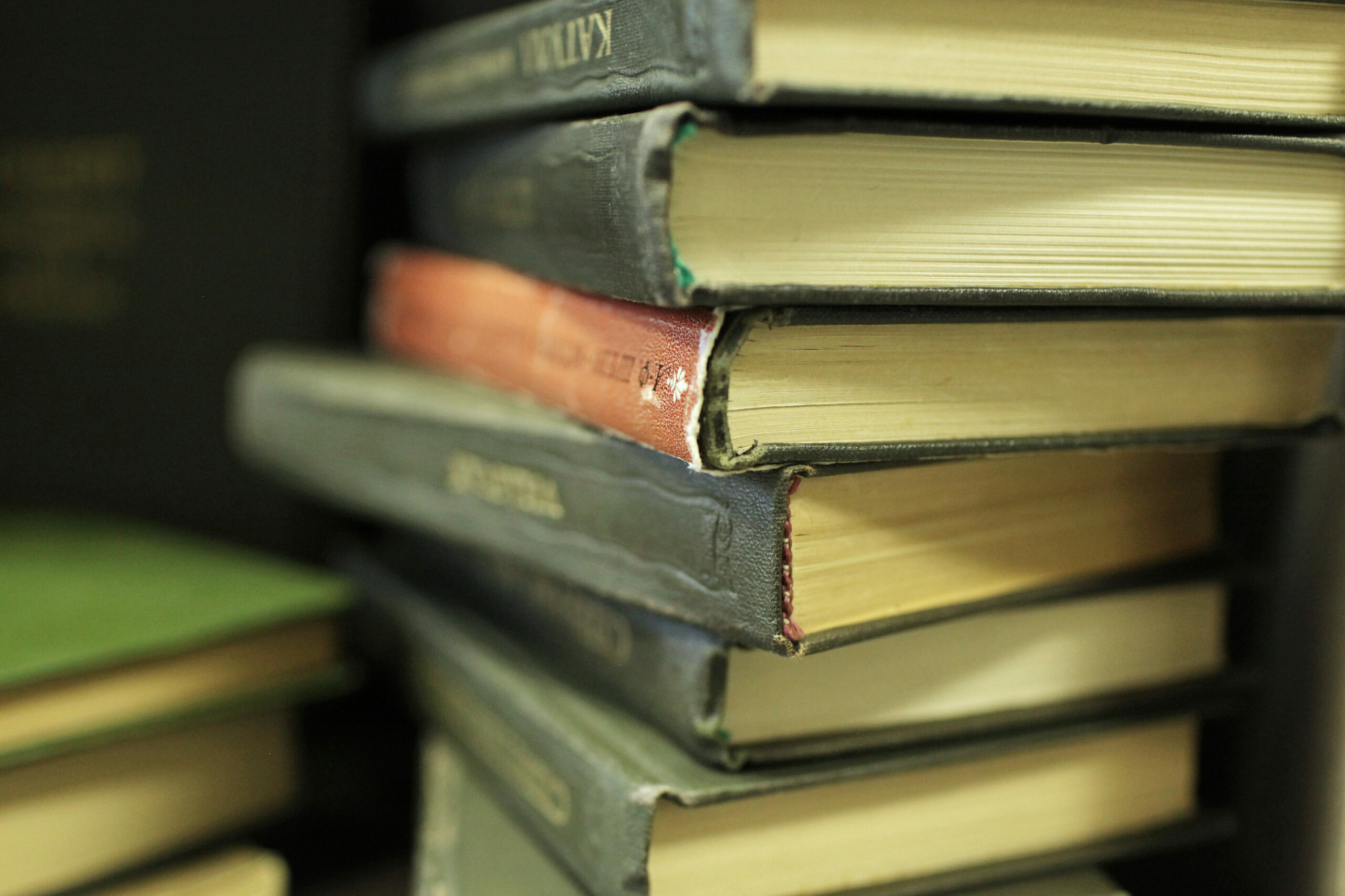 В Петербурге в «Книжной лавке писателей» сменился гендиректор