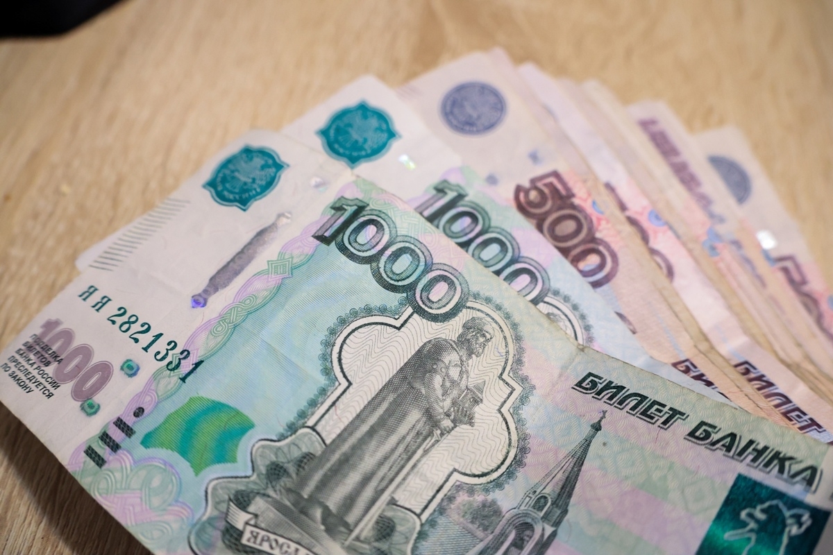 «Фест» купила элитный участок в Петербурге за 77 млн рублей
