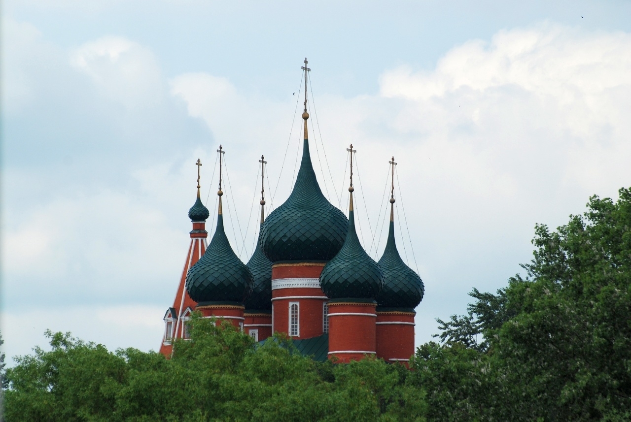 Во всех городах Ярославской области появится турмаршрут «Медвежья тропа»