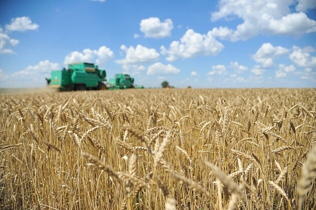 Волгоградские аграрии в 1,5 раза увеличили объемы реализации продукции АПК 