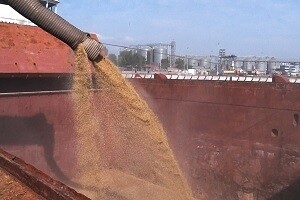 Порядка 170 тонн кормов экспортировали из астраханских портов 