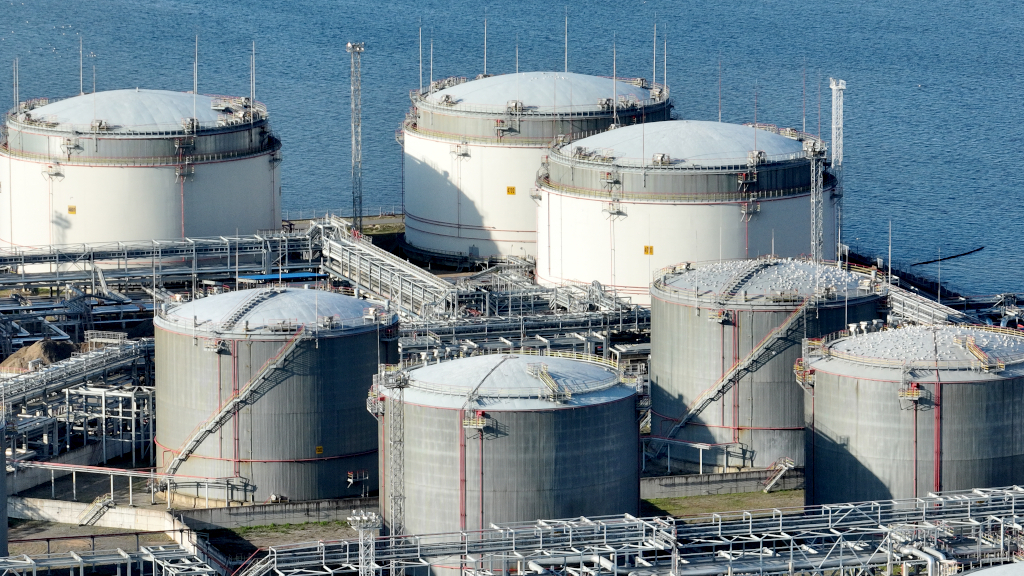Петербургский нефтяной терминал через суд делят кипрские компании