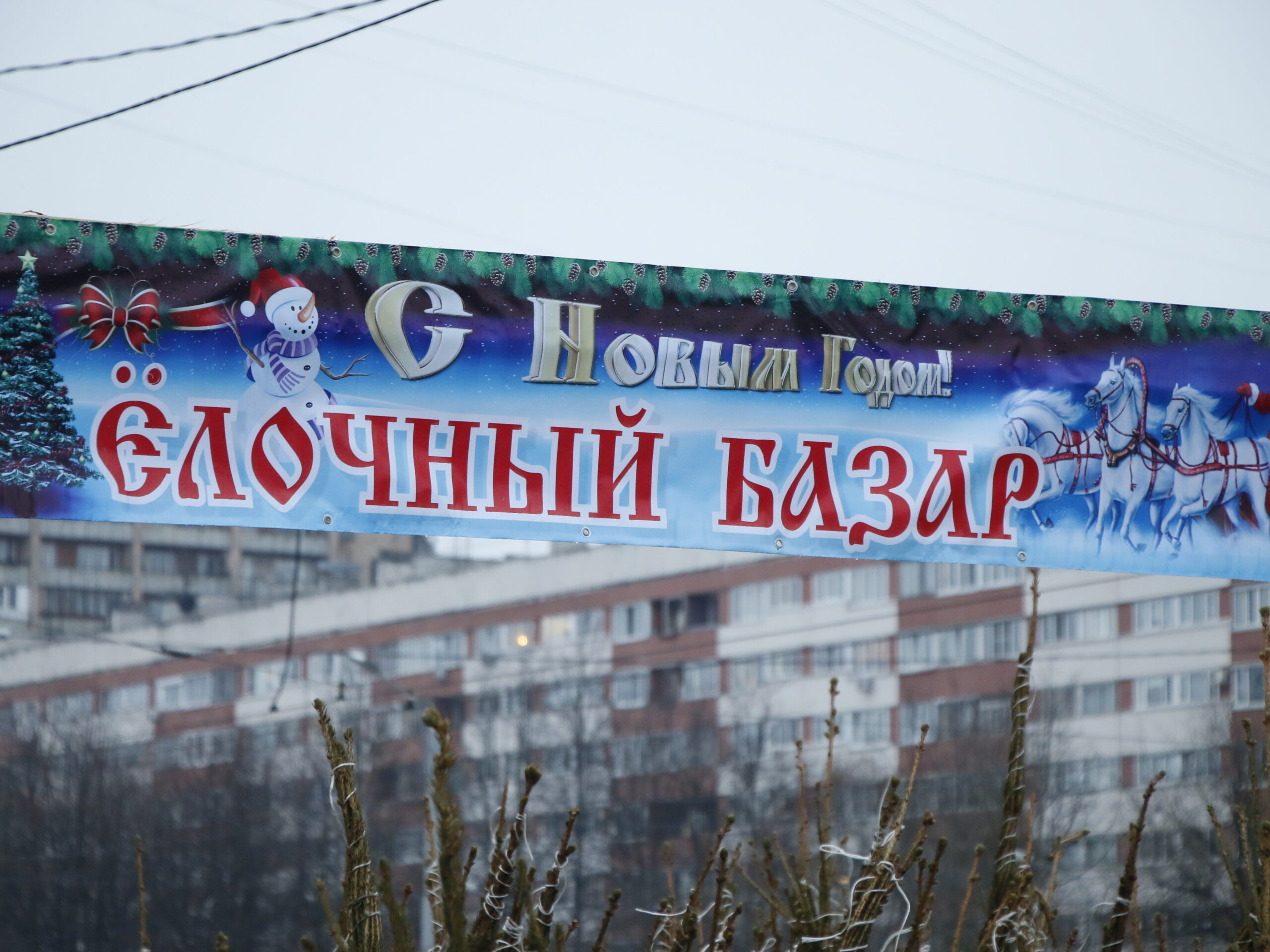 Крупные елочные базары Москвы и Московской области