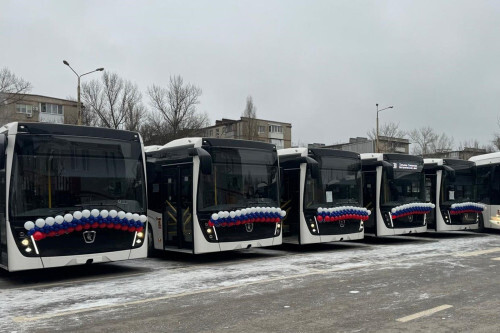 На социально значимые маршруты Новочеркасска выйдут 15 новых автобусов