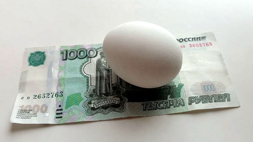 Птицеводы России хотят льгот и ограничения наценок на яйцо до 5-10%