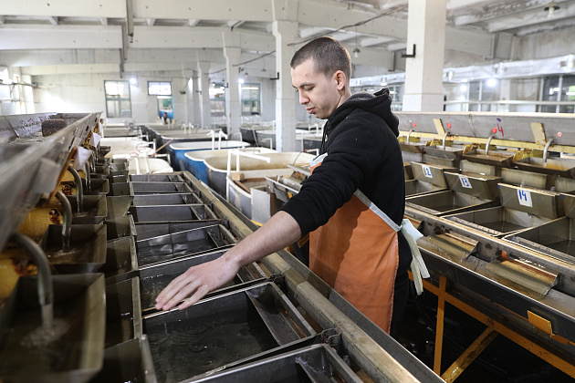 Производство рыбной продукции выросло на 10,5% в Волгоградской области 