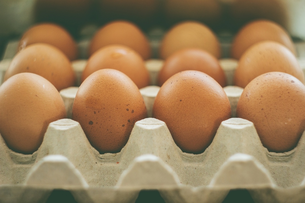 Ученые объяснили, какие продукты мыть опасно