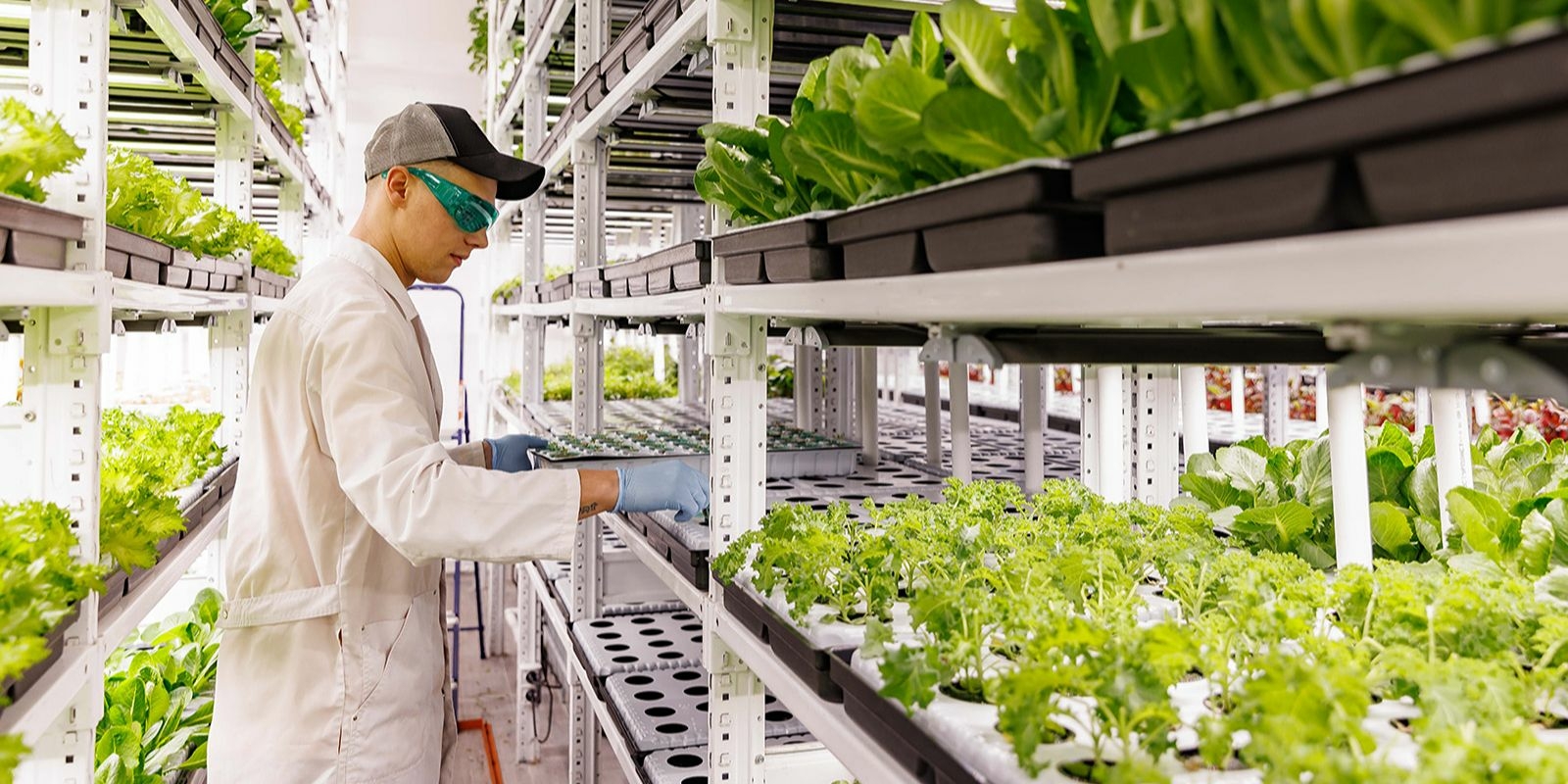 В 2023 году бизнес получил от Москвы более 3,5 млрд рублей на инновации