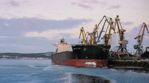 Мурманский морской порт намерен начать работу с новыми видами грузов