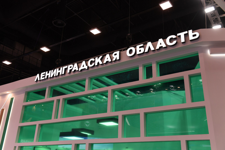 В Ленинградской области появится новый город