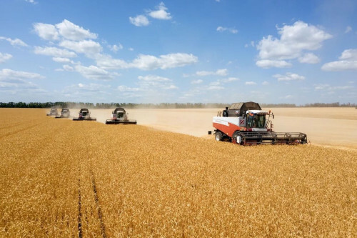 Цены на топливо для фермеров на Дону выросли на 20%