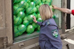 В Астраханскую область поступило четыре тысячи тонн импортной растительной продукции 