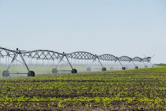 Площадь орошения в Волгоградской области хотят увеличить до 92,6 тыс. га