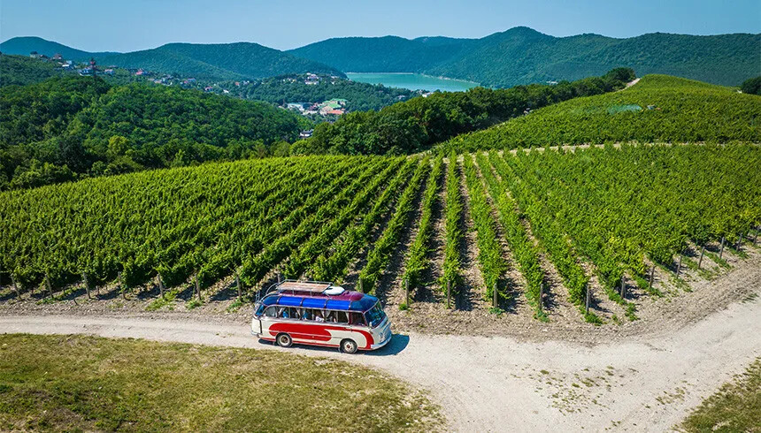 На заводе «Абрау-Дюрсо» новый директор, отвечающий за впечатления