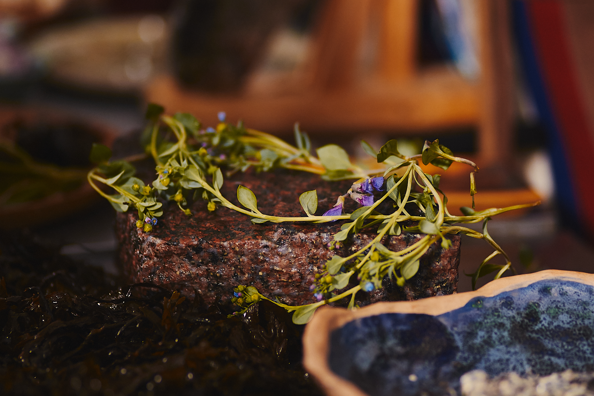 Производители еды из Мурманской области могут отправиться в Саудовскую Аравию