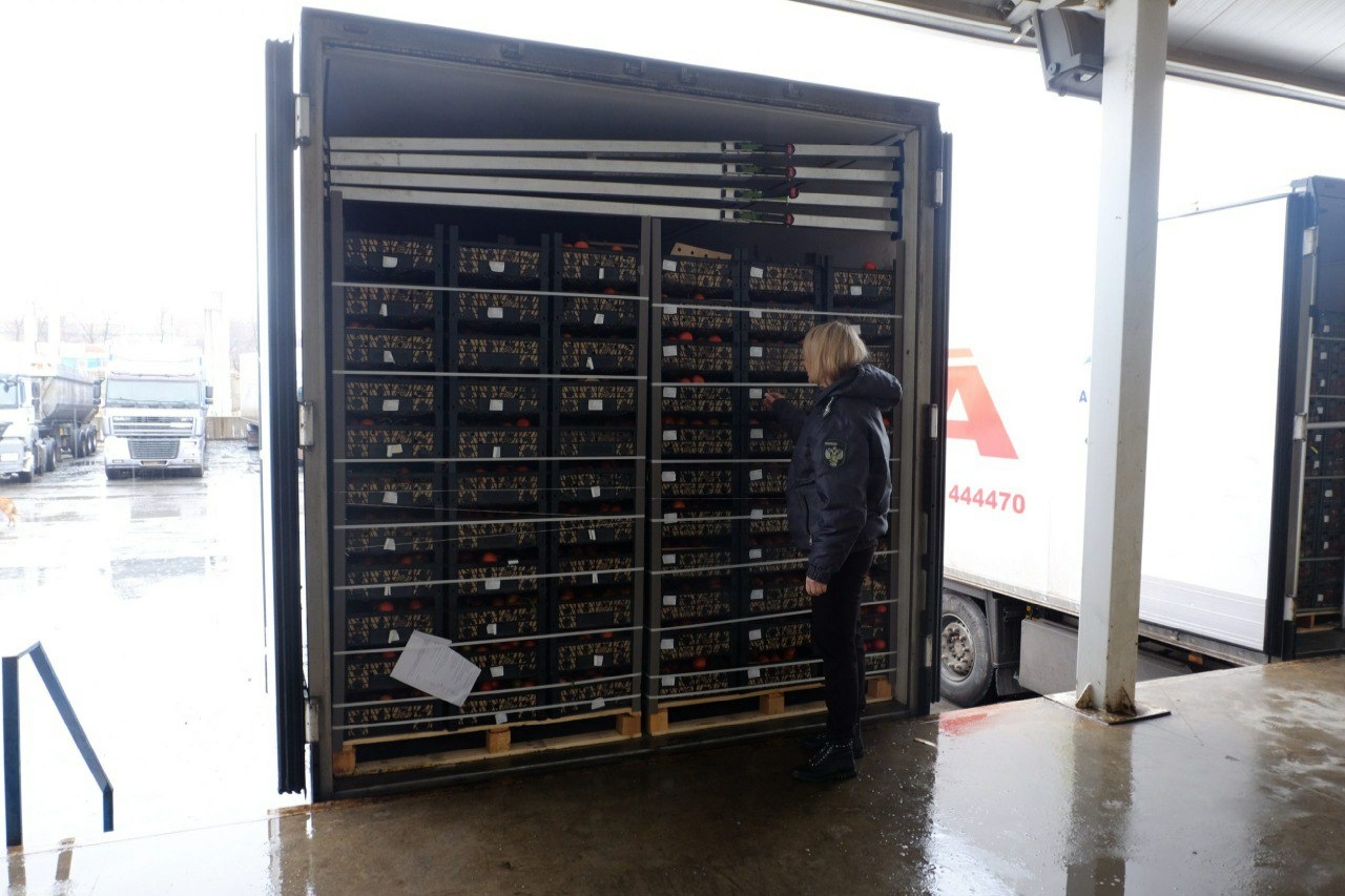 Астраханская область импортировала из Ирана 35 тонн мандаринов 