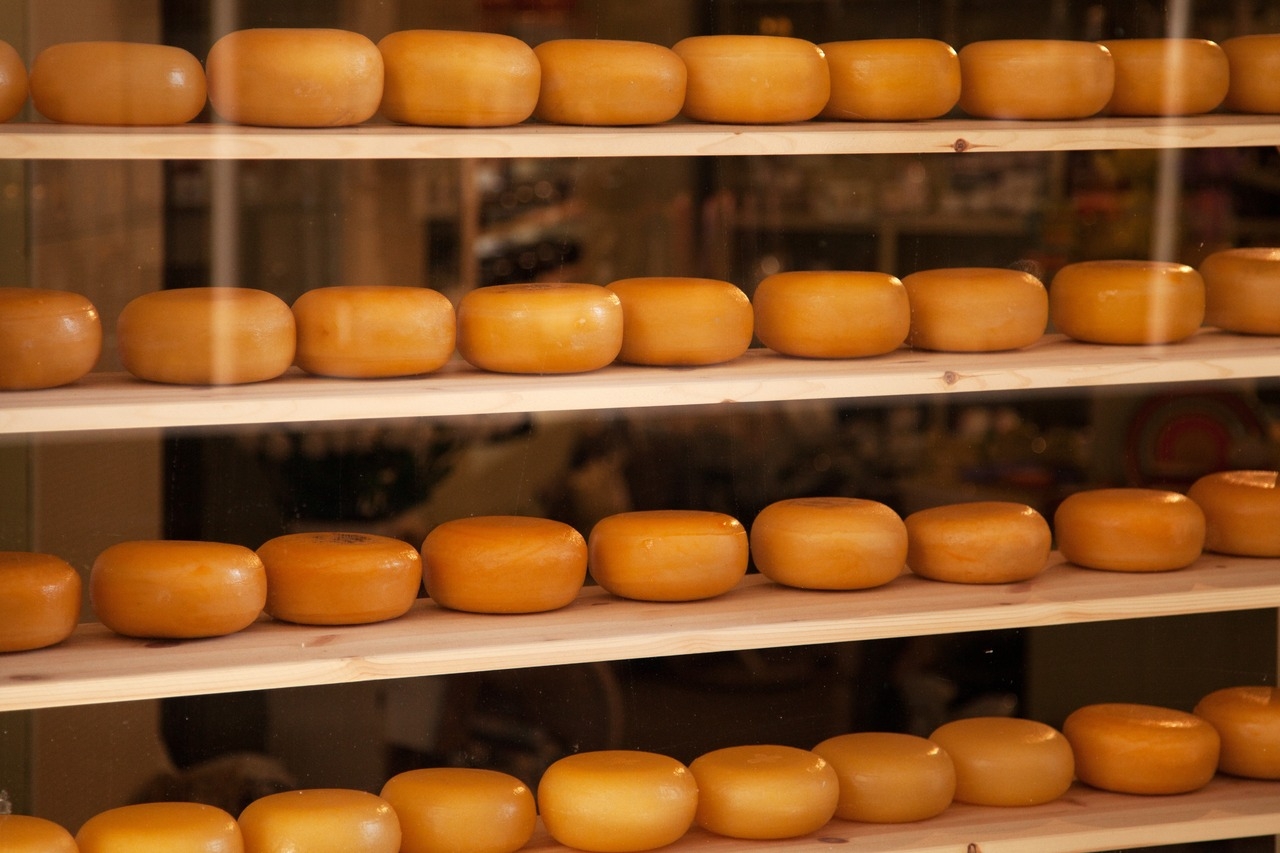 Сыроварня «Сыр & Beer» вошла в число лидеров по производству сыров в Подмосковье