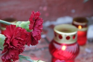 Фото