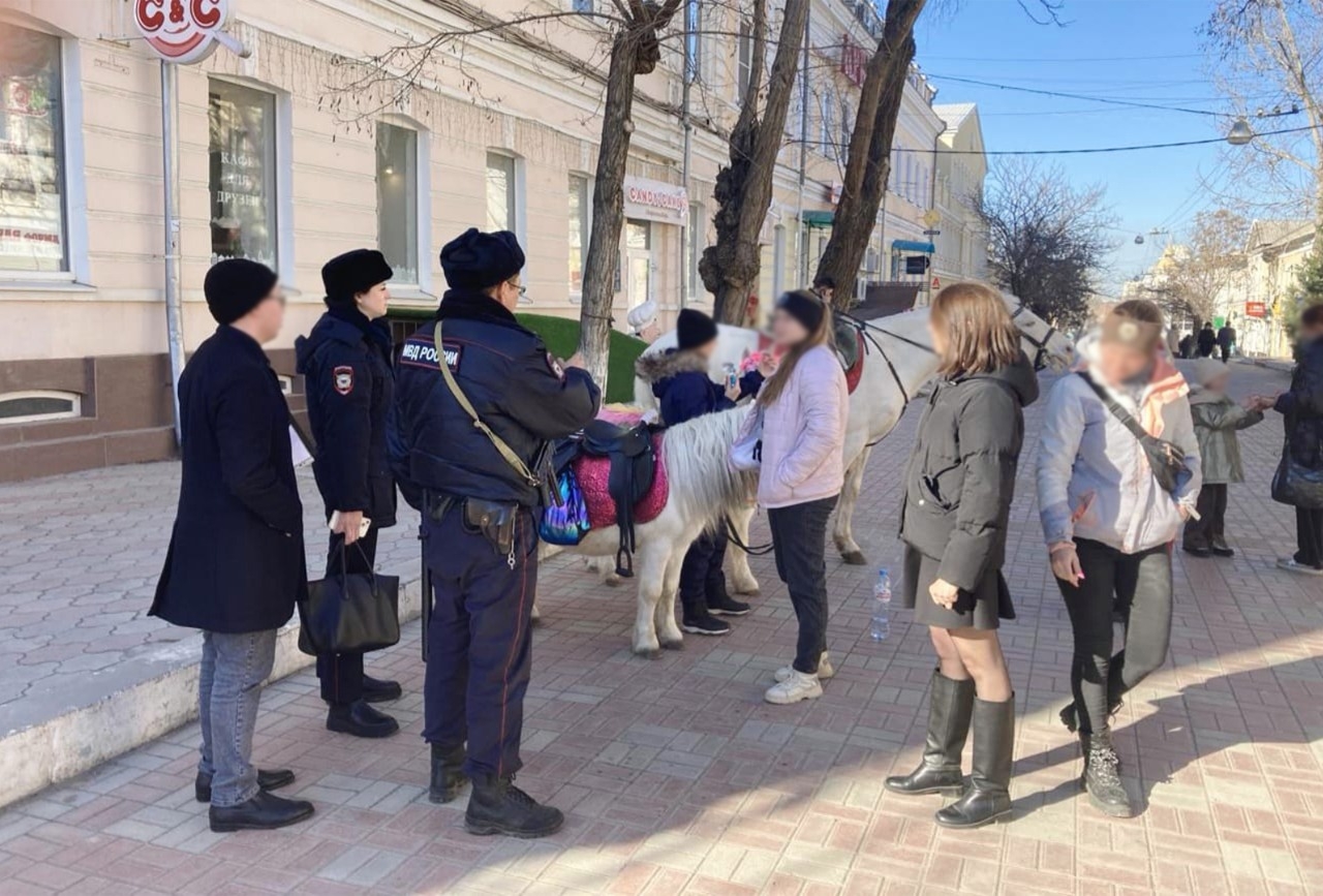 Власти Астрахани борются с незаконным катанием на лошадях 