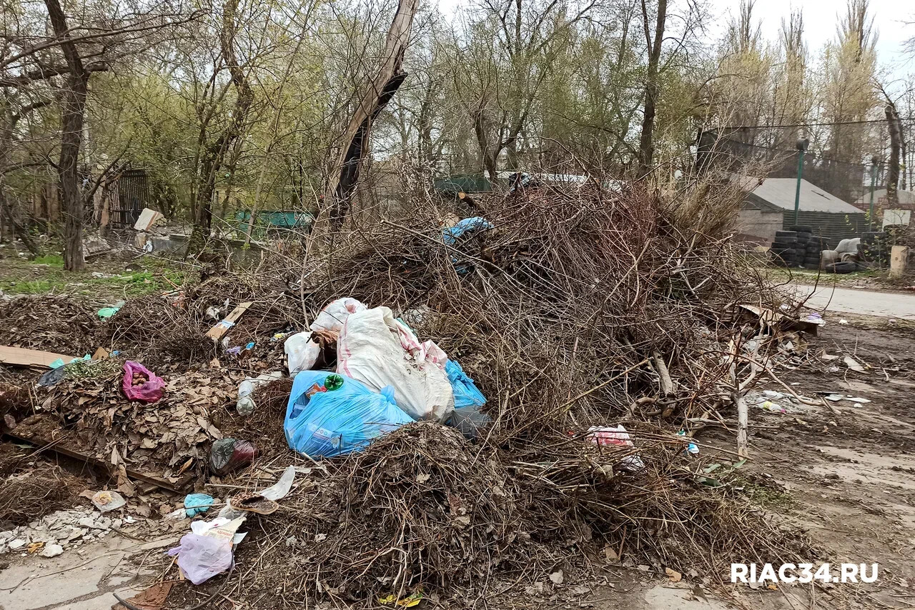 В Волгоградской области земли сельскохозяйственного назначения захламили отходами