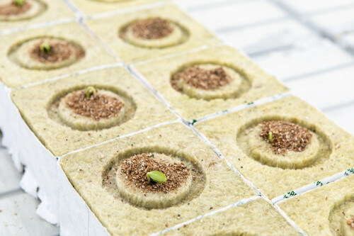 Ростовский завод «Технониколь» начал выпуск новой продукции 