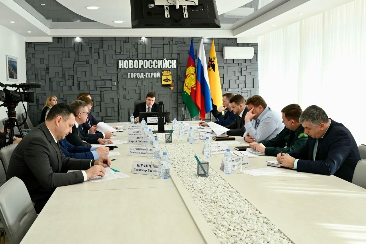 На Кубани на 30% снизился объем незаконной рубки древесины