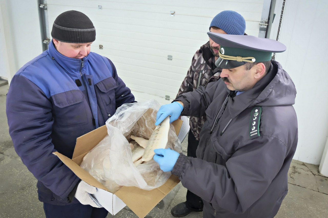 В феврале из Астраханской области экспортировали свыше 180 тонн продукции 