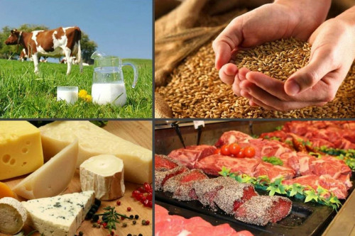 Производство пищевых продуктов в Ростовской области увеличилось на 10%