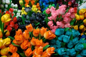 Фото