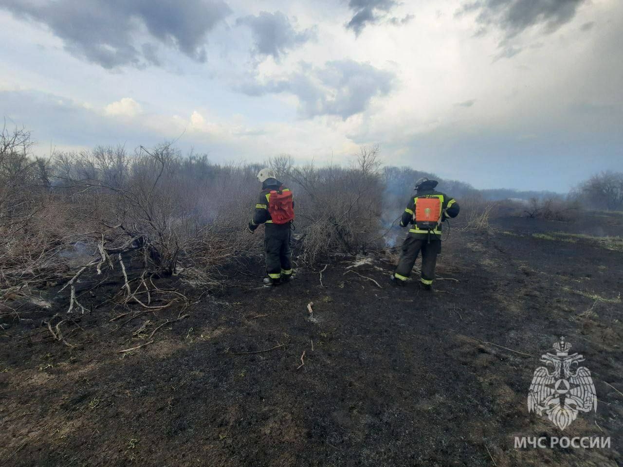 Ни дня без пожара: в Астраханской области вновь вспыхнул камыш 