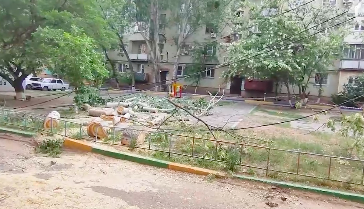 В Астрахани дерево насмерть задавило ребенка 