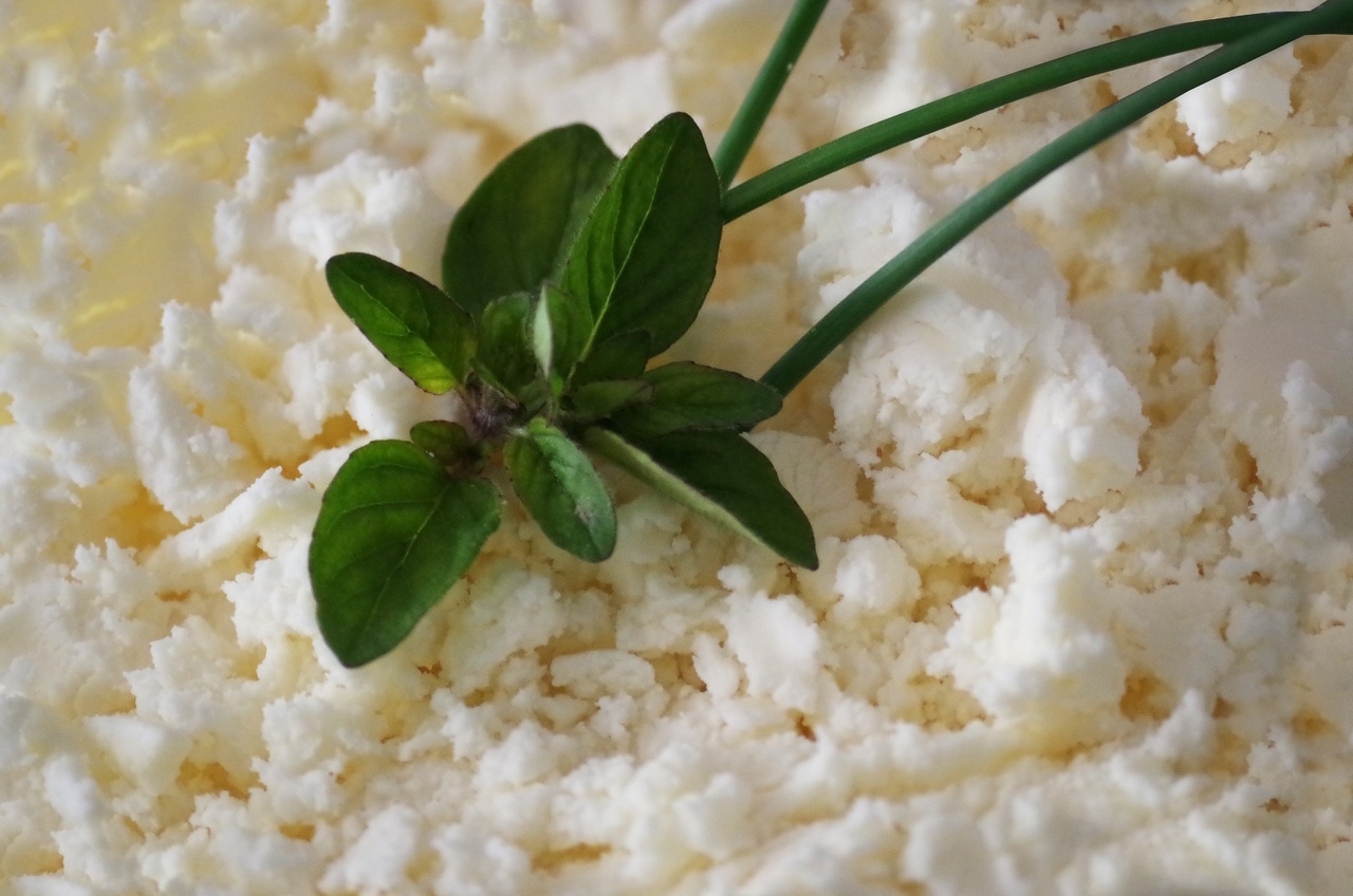 Минсельхоз исключил дефицит кисломолочной продукции в России