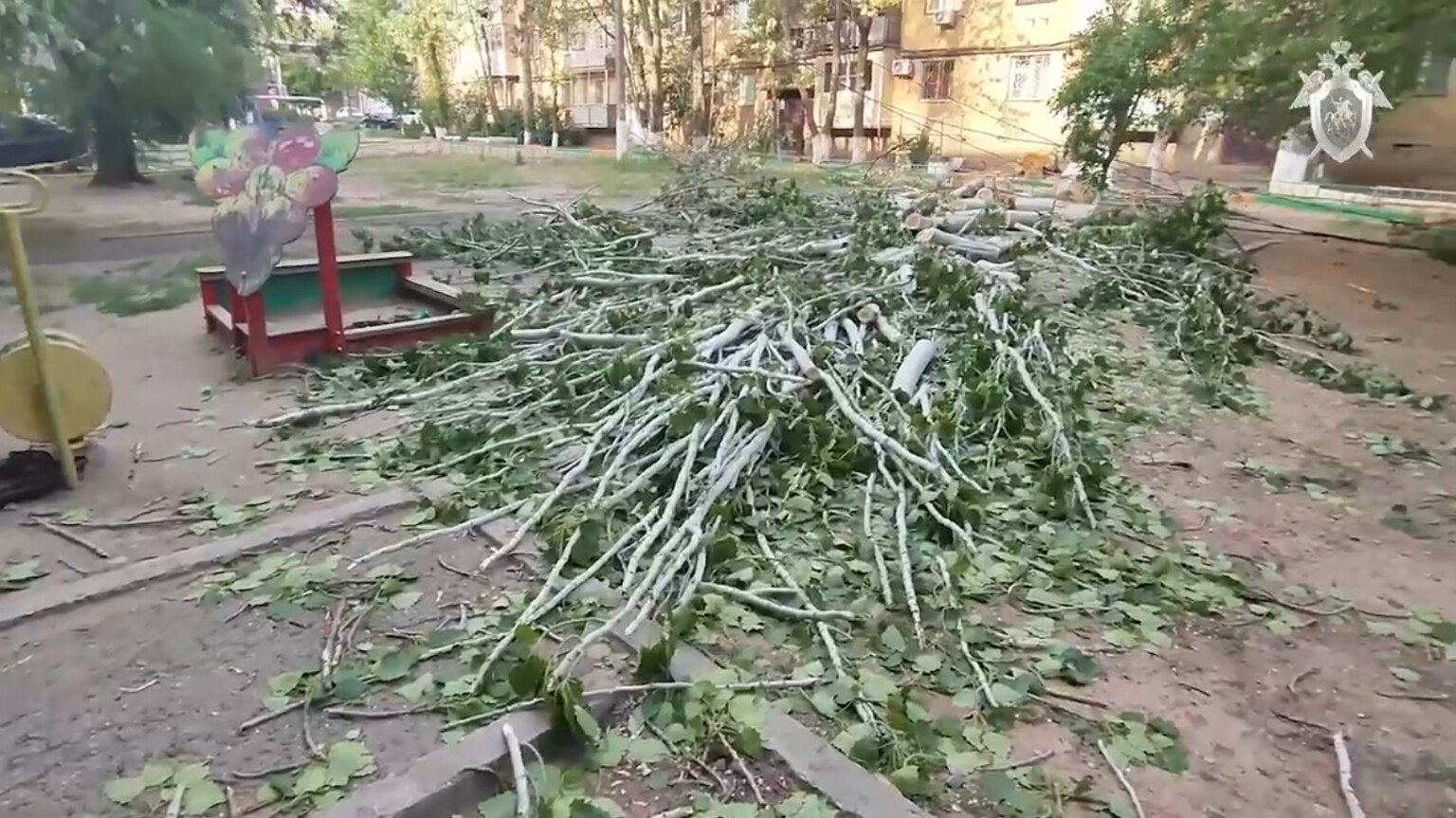 В Астрахани проведут ревизию аварийных деревьев