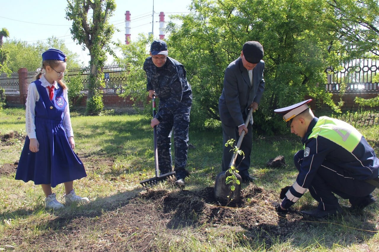 В Тюмени высадили Аллею ветеранов в преддверии Дня Госавтоинспекции