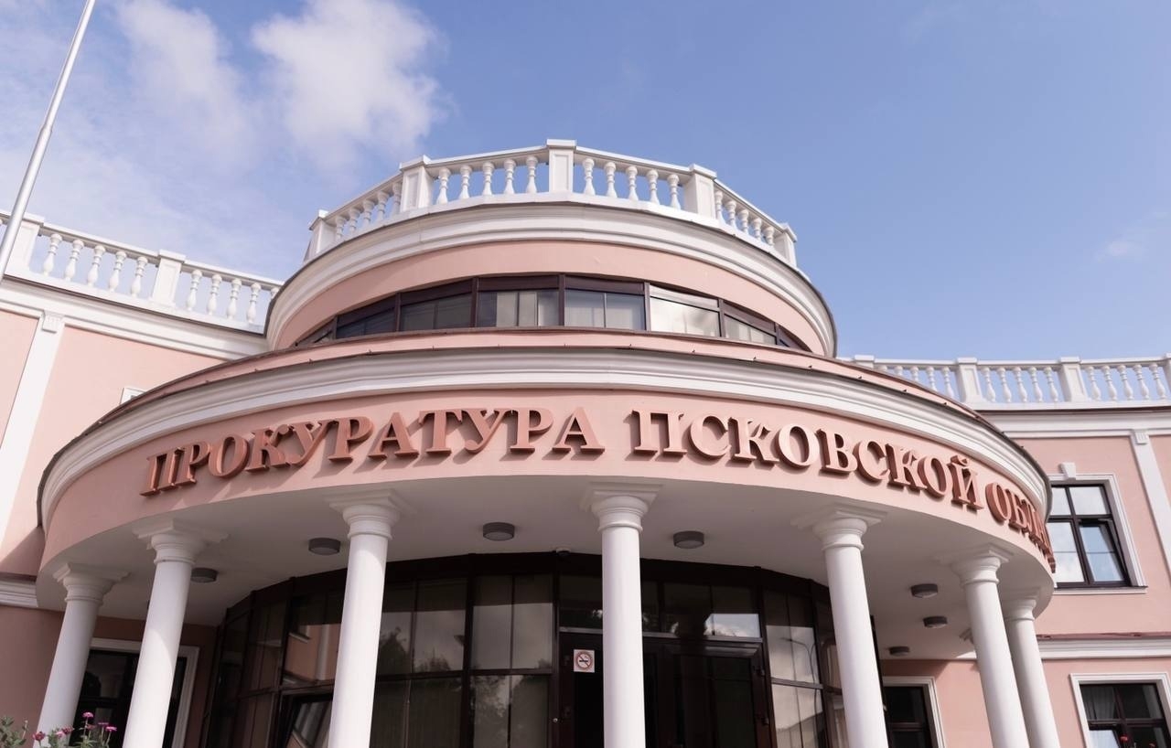 В отношении регоператора Псковской области за сутки возбудили сразу два уголовных дела