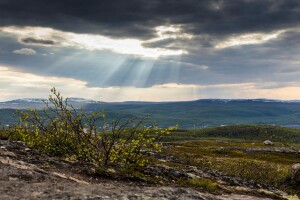 Фото