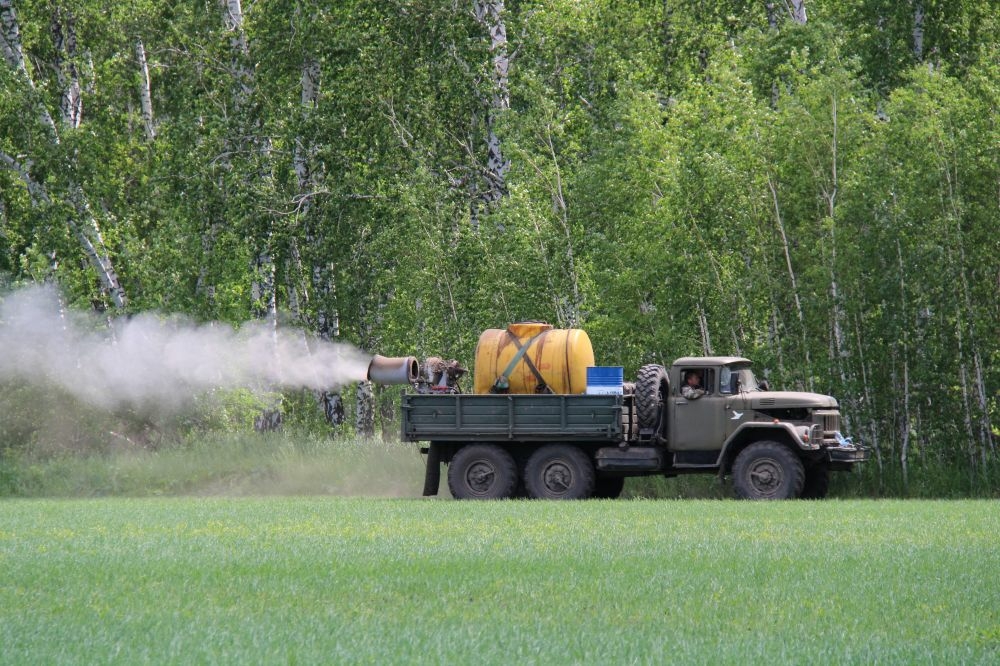 В Омской области обработают свыше 25 тысяч га лесов от непарного шелкопряда