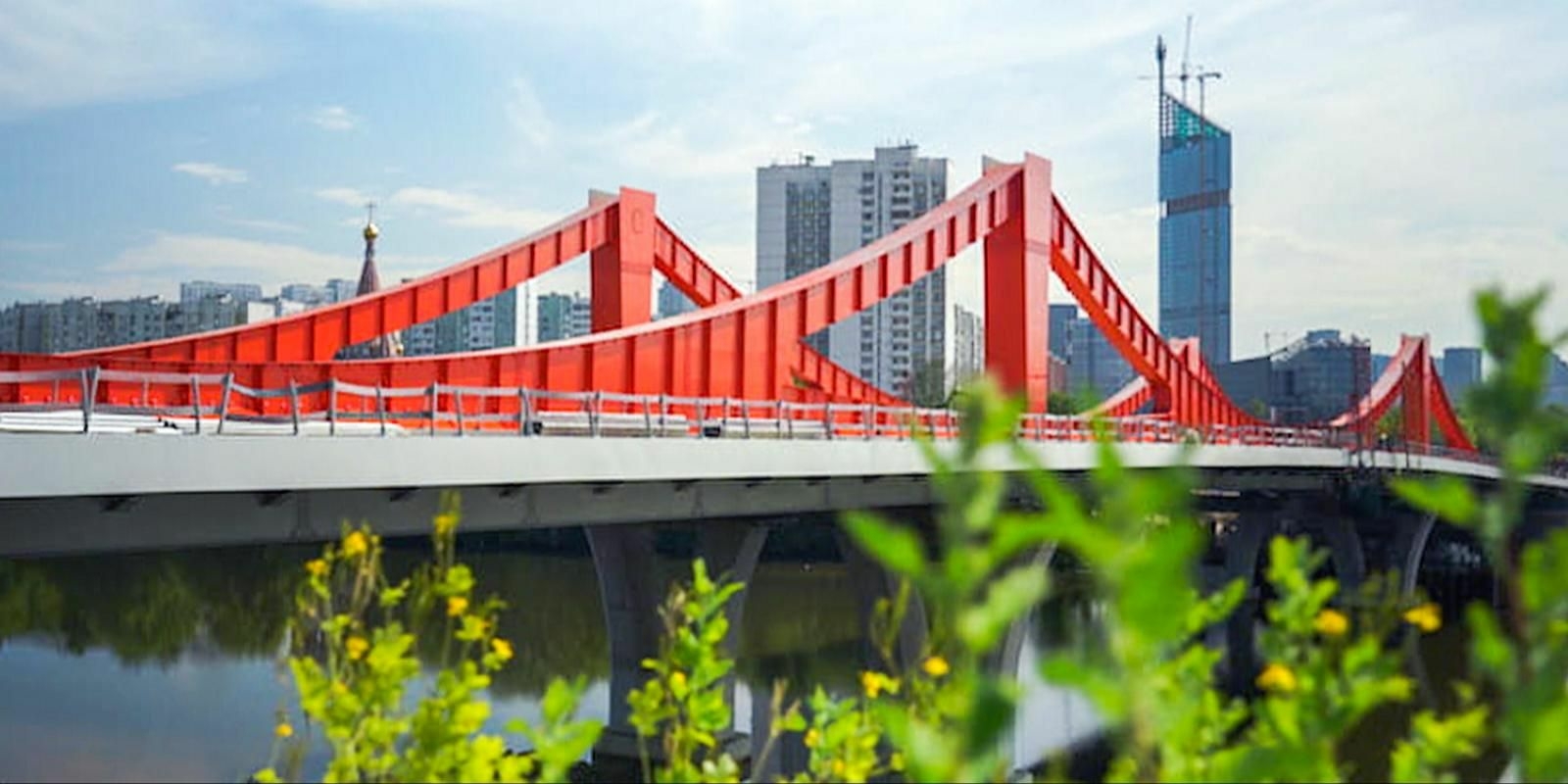 Мневниковскую пойму интегрируют в транспортную сеть Москвы