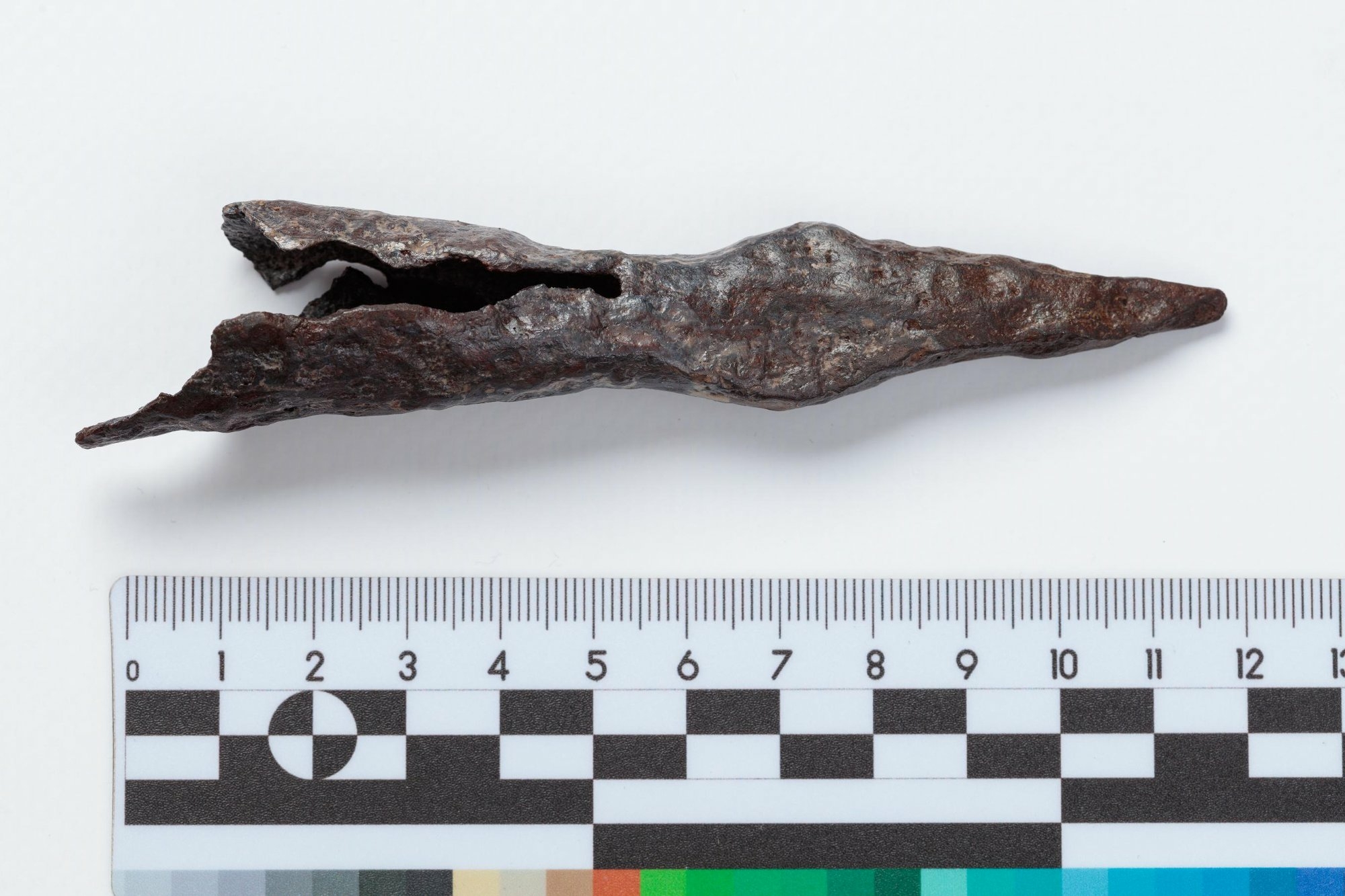 В Тульской области обнаружили уникальный элемент оружия времен Дмитрия Донского