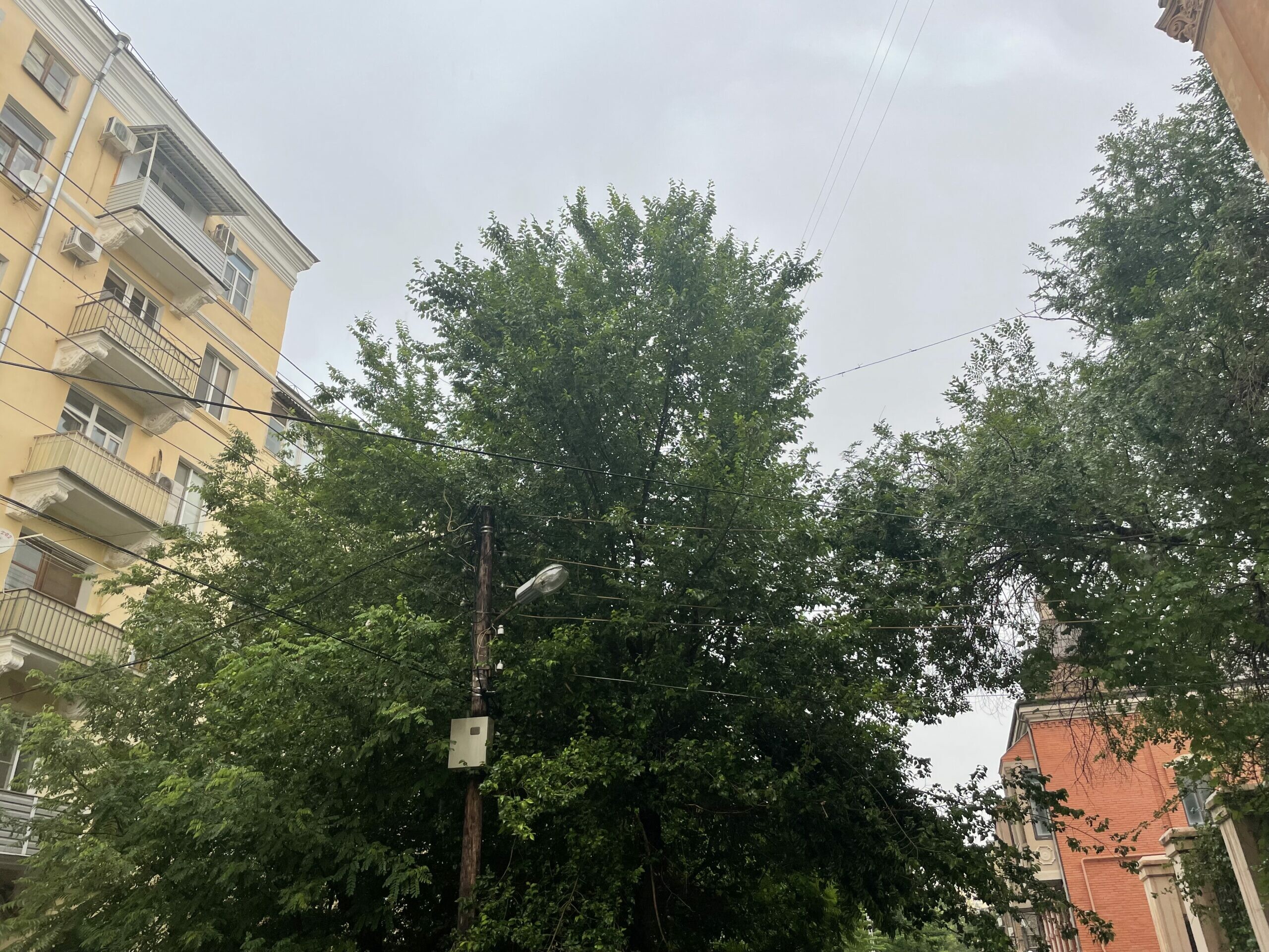 Астраханцев ждет облачность и до +31