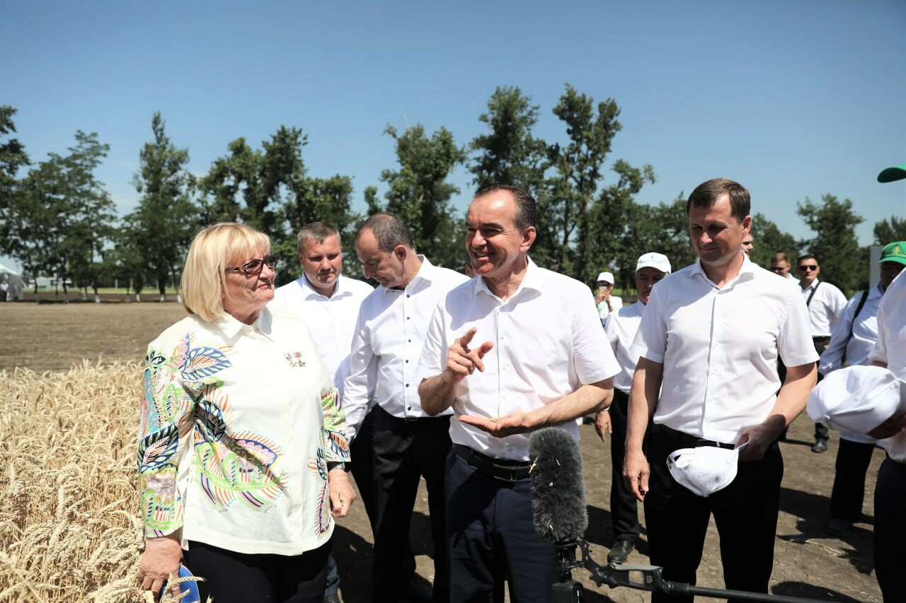 Не менее 14 млн тонн урожая зерновых соберут в Краснодарском крае