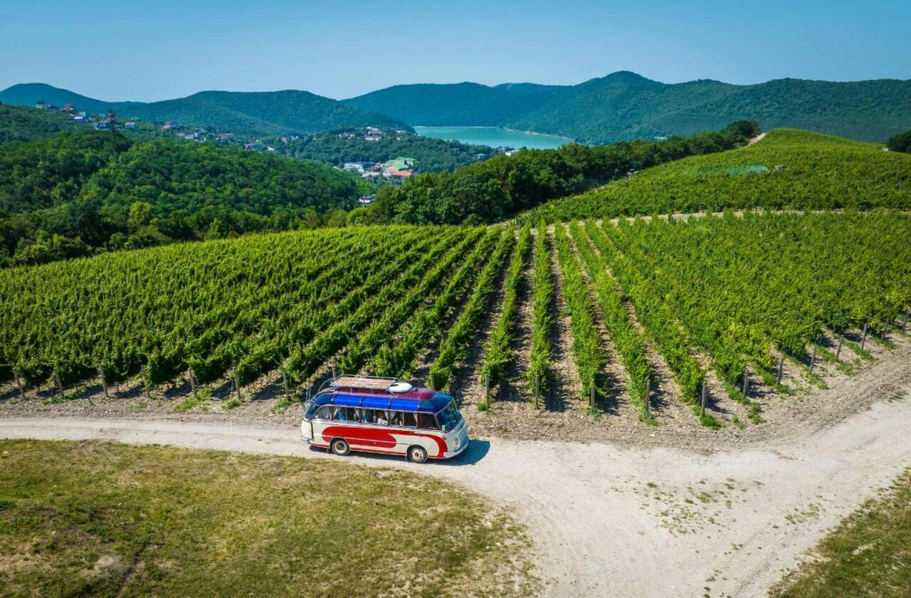 Винодельни Кубани вошли в топ-10 рейтинга гастрономического туризма 