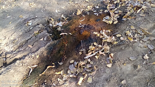 Росприроднадзор Астраханской области через суд обязал районную администрацию устранить загрязнение почвы