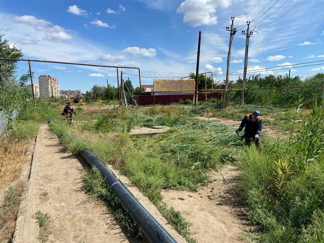 В районах Астрахани ликвидируют сорняки 