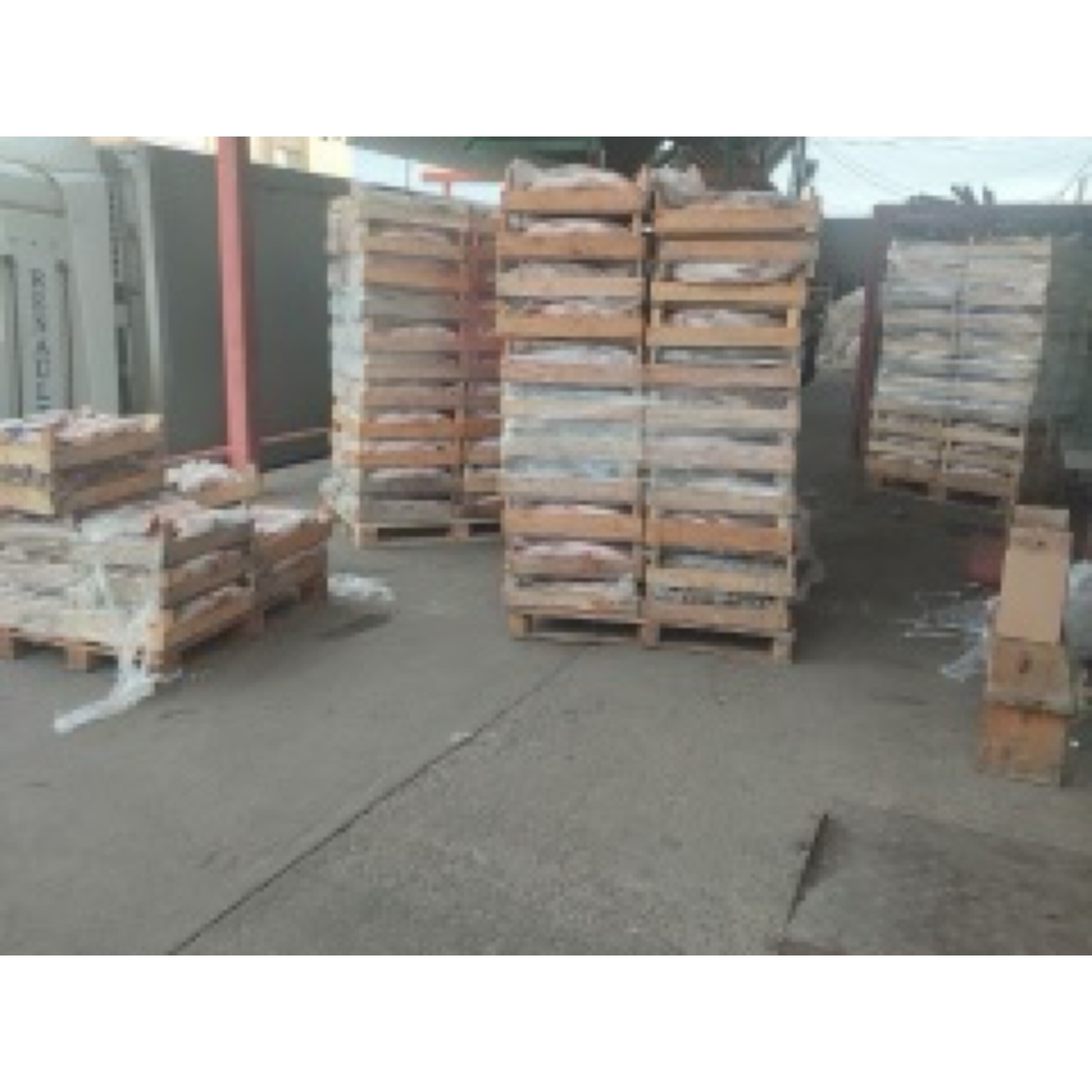 Астраханский бизнесмен попался на хранении опасной рыбы 